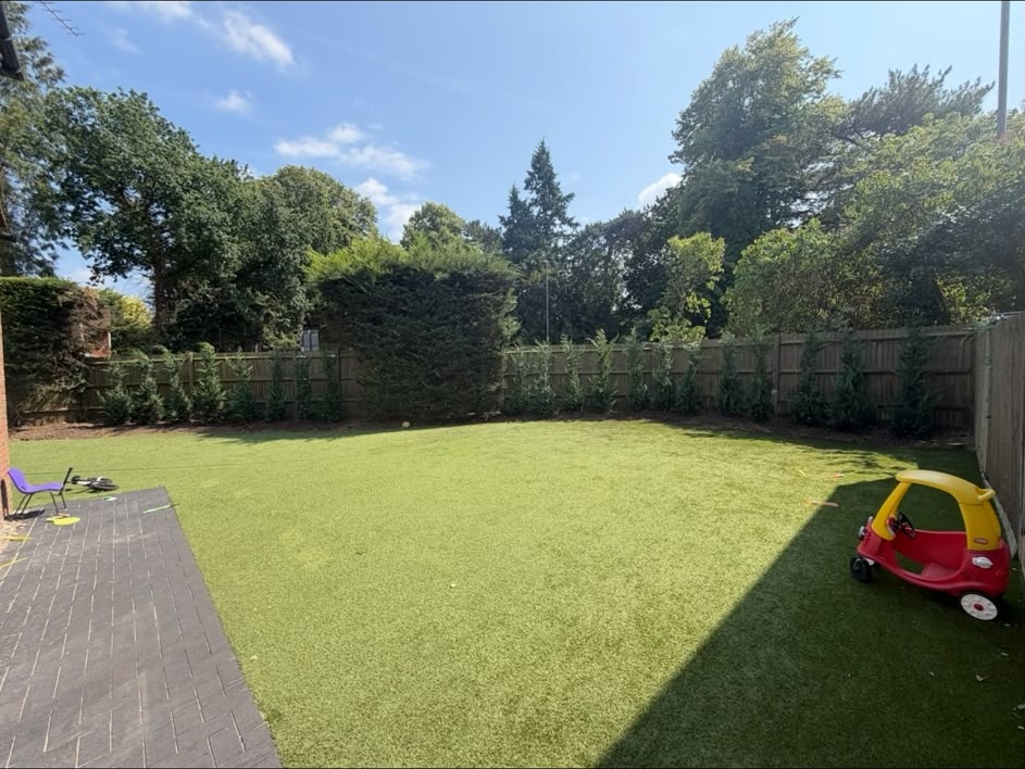 Finished lawn with a laurel hedge after fencing and turf reinstatement in a Buckinghamshire back garden