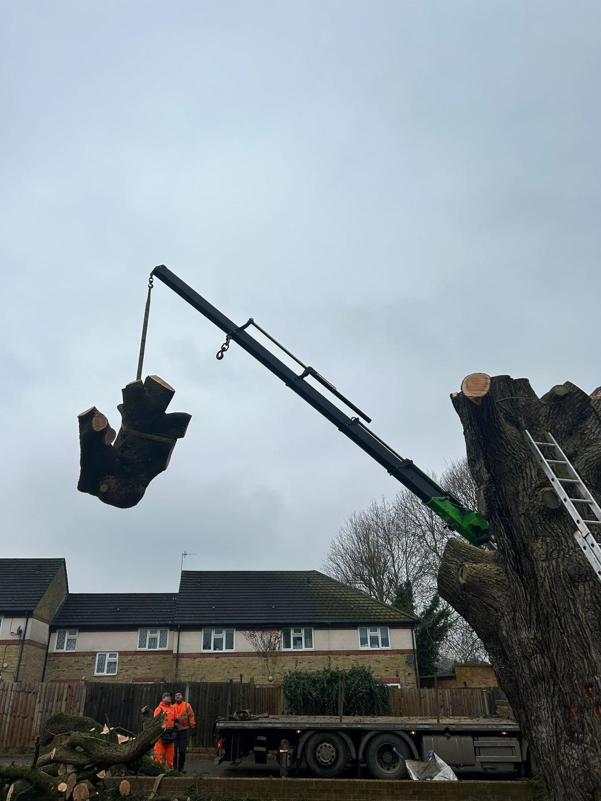 Crane lifting a heavy trunk section during a removal